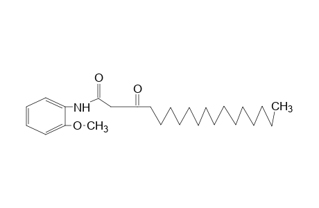 2-palmitoyl-o-acetanisidide