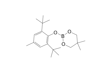 2-(2,6-ditert-butyl-4-methyl-phenoxy)-5,5-dimethyl-1,3,2-dioxaborinane