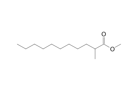 Undecanoic acid, 2-methyl-, methyl ester