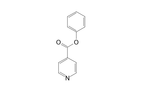 isonicotinic acid, phenyl ester