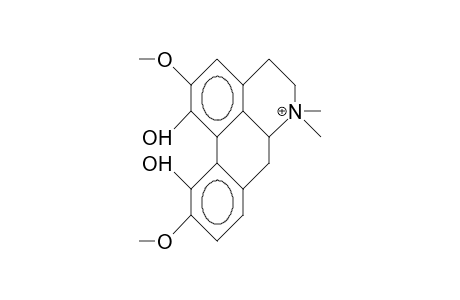 Magnoflorine