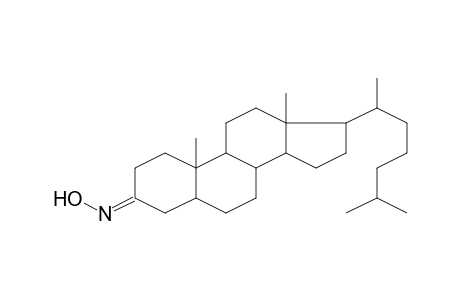 Cholestan-3-one, oxime, (5.alpha.)-