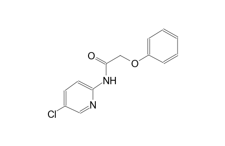 N-(5-chloro-2-pyridinyl)-2-phenoxyacetamide