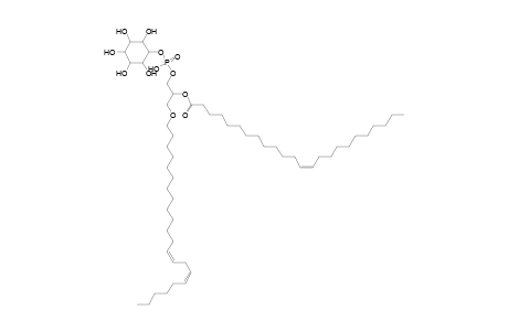 PI O-22:2_24:1