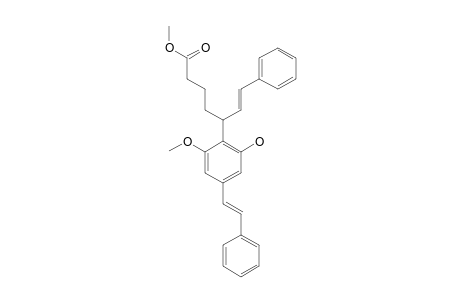 Idenburgene