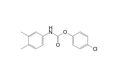 3,4-dimethylcarbanilic acid, p-chlorophenyl ester