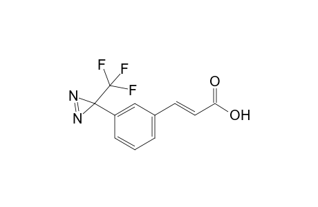 3-[3'-(Trifluoromethyl)diazirin-3'-yl]cinnamic acid