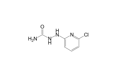 1-(6-CHLORO-2-PYRIDYL)SEMICARBAZIDE