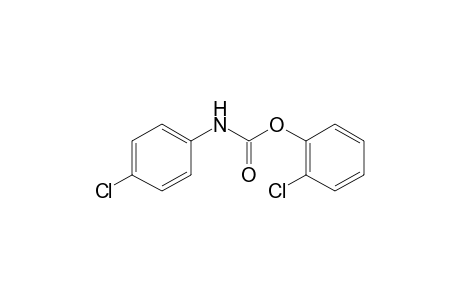 p-chlorocarbanilic acid, o-chlorophenyl ester