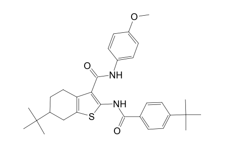 6-tert-Butyl-2-[(4-tert-butylbenzoyl)amino]-N-(4-methoxyphenyl)-4,5,6,7-tetrahydro-1-benzothiophene-3-carboxamide