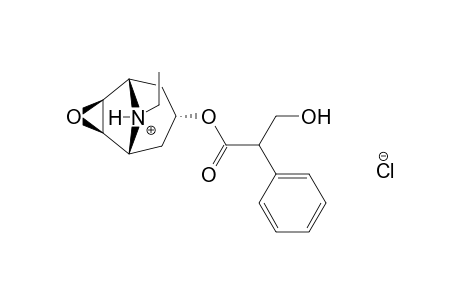 6beta,7beta-EPOXY-8-ETHYL-1alphaH,5alphaH-NORTROPAN-3alpha-OL, (-)-TROPATE(ESTER), HYDROCHLORIDE