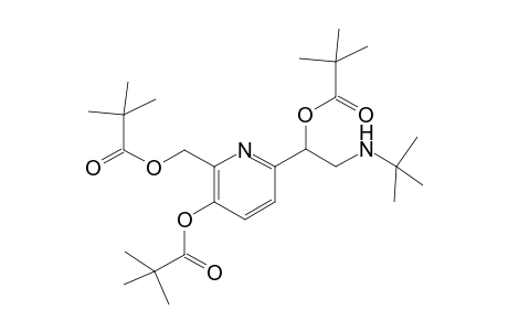 Tris(trimethylacetyl) derivative of pirbuterol