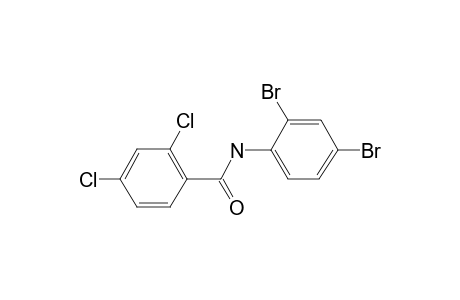 2,4-Dichloro-N-(2,4-dibromo-phenyl)-benzamide