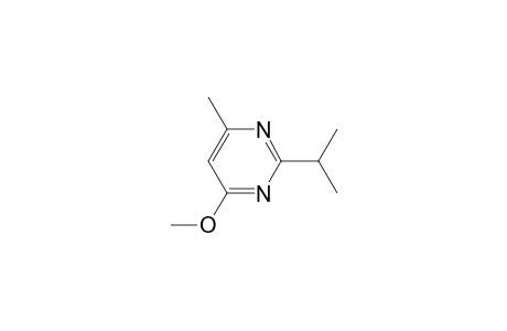 Dimpylate artifact-1              @