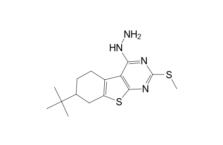 [1]Benzothieno[2,3-d]pyrimidine, 7-(1,1-dimethylethyl)-4-hydrazino-5,6,7,8-tetrahydro-2-(methylthio)-