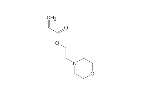 2-N-MORPHOLINOETHYL ACRYLATE