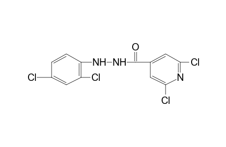 2,6-dichloroisonicotinic acid, 2-(2,4-dichlorophenyl)hydrazide