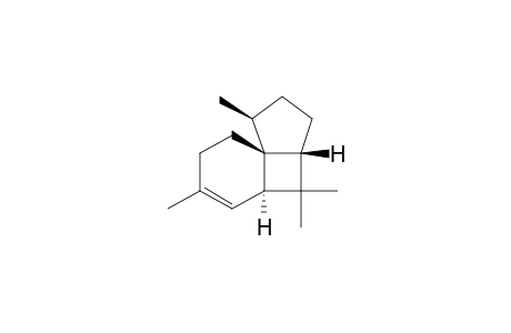 Italicene