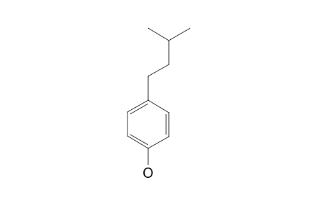 p-isopentylphenol