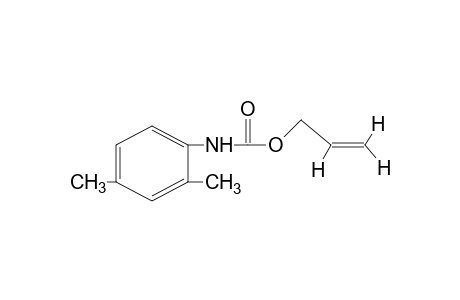 2,4-dimethylcarbanilic acid, allyl ester