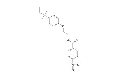 2-(p-tert-PENTYLPHENOXY)ETHANOL, p-NITROBENZOATE