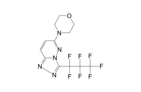 3-(1,1,2,2,3,3,3-Heptafluoropropyl)-6-(4-morpholinyl)[1,2,4]triazolo[4,3-b]pyridazine