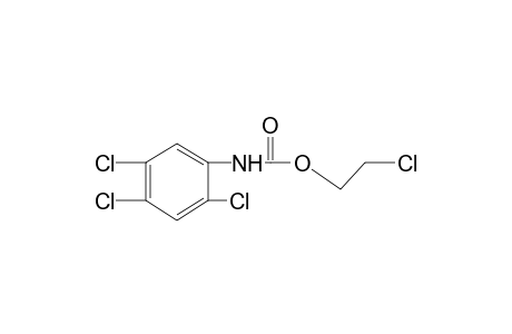 2,4,5-trichlorocarbanilic acid, 2-chloroethyl ester