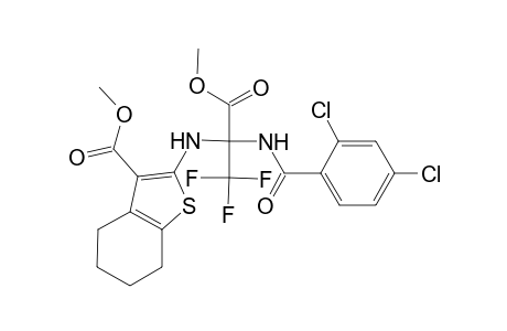 Benzothiophene-3-carboxylic acid, 4,5,6,7-tetrahydro-2-[1-(2,4-dichlorobenzoylamino)-2,2,2-trifluoro-1-methoxycarbonylethylamino]-, methyl ester