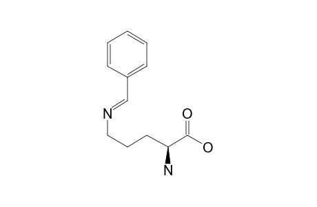 Benzylidene-L-ornithine