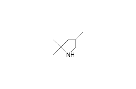 2,2,4-Trimethyl-pyrrolidine