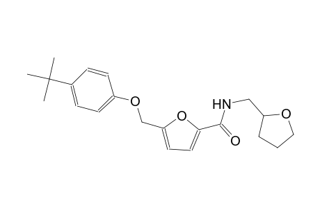 5-[(4-tert-butylphenoxy)methyl]-N-(tetrahydro-2-furanylmethyl)-2-furamide