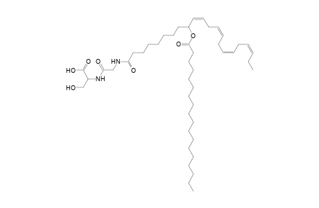 NAGlySer 18:0/22:4