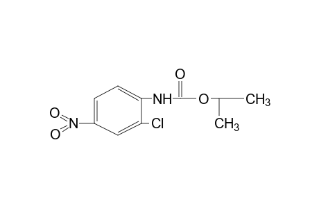 2-chloro-4-nitrocarbanilic acid, isopropyl ester