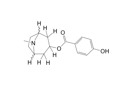 tropan-3-ol, p-hydroxybenzoate