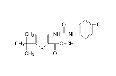 5-tert-butyl-3-[3-(p-chlorophenyl)ureido]-2-thiophenecarboxylic acid, methyl ester