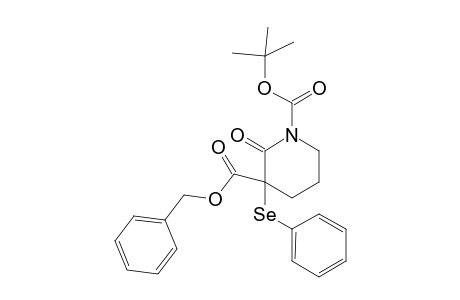 2-keto-3-(phenylseleno)piperidine-1,3-dicarboxylic acid O3-benzyl ester O1-tert-butyl ester