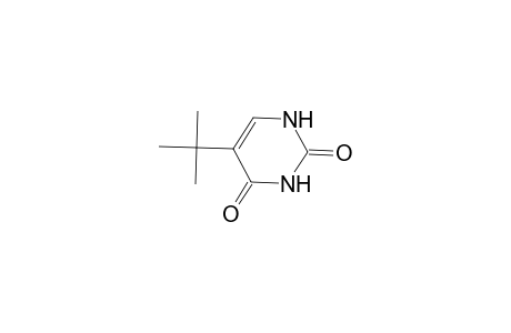 5-tert-Butyl-2,4(1H,3H)-pyrimidinedione