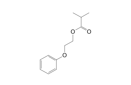 2-Phenoxyethyl isobutyrate