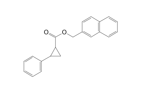 Cyclopropanecarboxylic acid, trans-2-phenyl-, naphth-2-ylmethyl ester