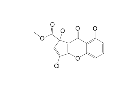 CONIOTHYRIONE