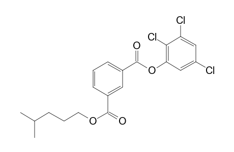 Isophthalic acid, isohexyl 2,3,5-trichlorophenyl ester