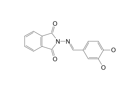 N-[(3,4-dihydroxybenzylidene)amino]phthalimide