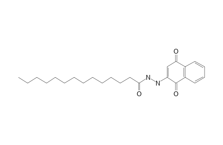 2-Tetradecanoylhydrazino-1,4-naphthoquinone