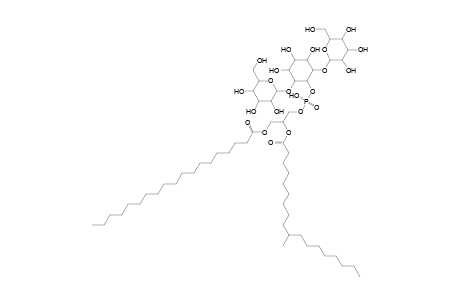 Ac2PIM2 18:0(methyl)_19:0