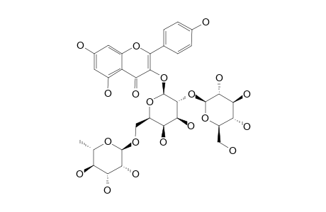 KAEMPFEROL-3-O-BETA-D-GLUCOPYRANOSYL-(1->2)-O-[ALPHA-L-RHAMNOPYRANOSYL-(1->6)]-BETA-D-GALACTOPYRANOSIDE