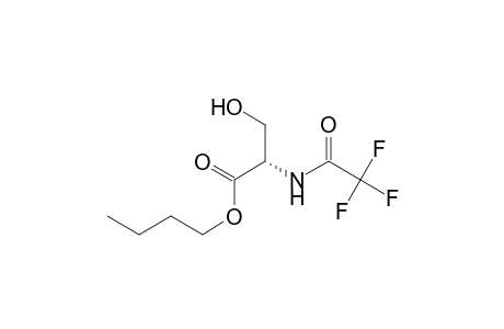 SER TFA BU