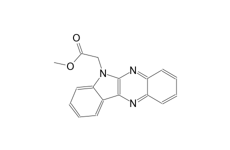 methyl 6H-indolo[2,3-b]quinoxalin-6-ylacetate