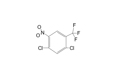 2,4-DICHLORO-5-NITRO-alpha,alpha,alpha-TRIFLUOROTOLUENE