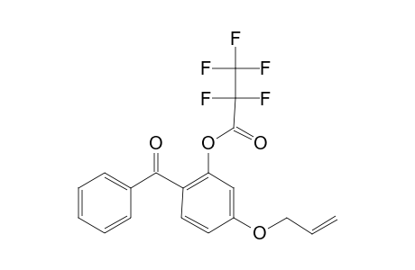 4-(Allyloxy)-2-hydroxybenzophenone, pentafluoropropionate