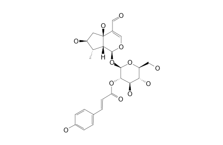 2'-O-COUMAROYL-8-EPI-TECOMOSIDE